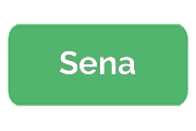 Ремонт экшен-камер Sena
